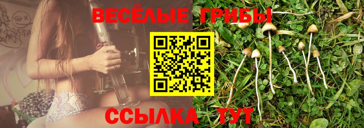 купить наркотик  Галлюциногенные грибы Cubensis  Вход с VPN  Малгобек 