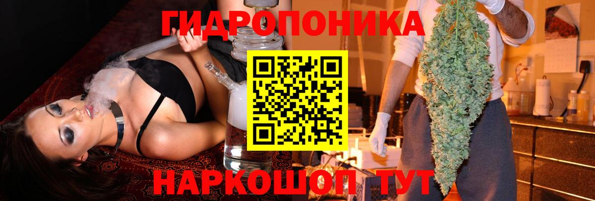 Шишки марихуана OG Kush  Бошки марихуана VHQ  Бошки Шишки White Widow  Вход с VPN  МАРИХУАНА марихуана  Малгобек 